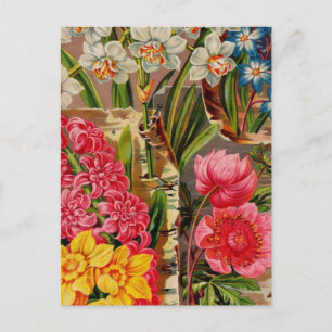 Vintage Seed Packet Catalogue Cards, Postage, Gift Postcard