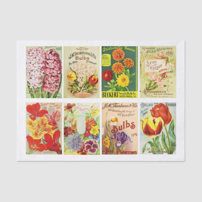 Vintage Seed Packet Collection Decoupage Collage Tissue Paper (Front)