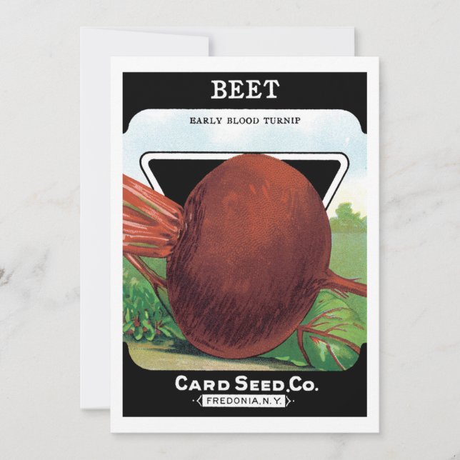 Vintage Seed Packet Label Art, Beet Vegetables (Front)