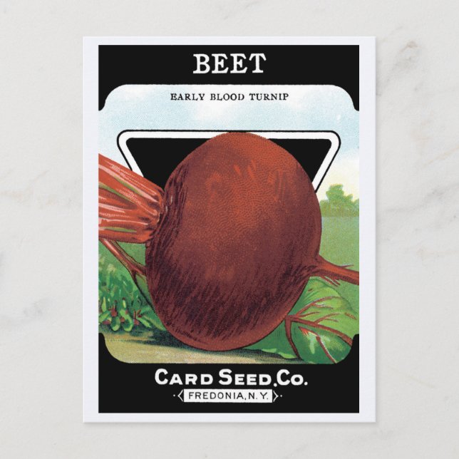Vintage Seed Packet Label Art, Beet Vegetables Postcard (Front)