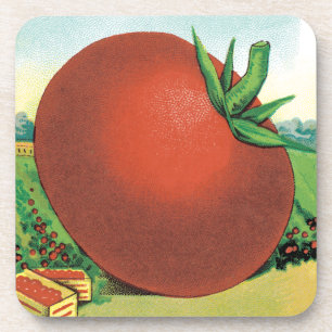 Vintage Seed Packet Label Art, Burt's Seed Tomato Coaster