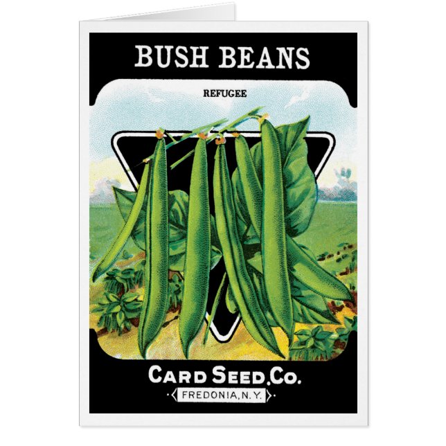Vintage Seed Packet Label Art, Bush Bean Veggies (Front)