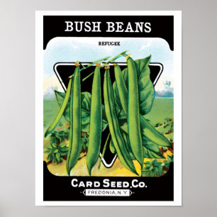 Vintage Seed Packet Label Art, Bush Bean Veggies Poster