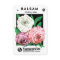 Vintage Seed Packet Label Art, Camellia Flowers