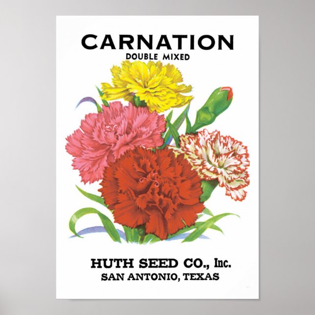 Vintage Seed Packet Label Art, Carnation Flowers Poster (Front)