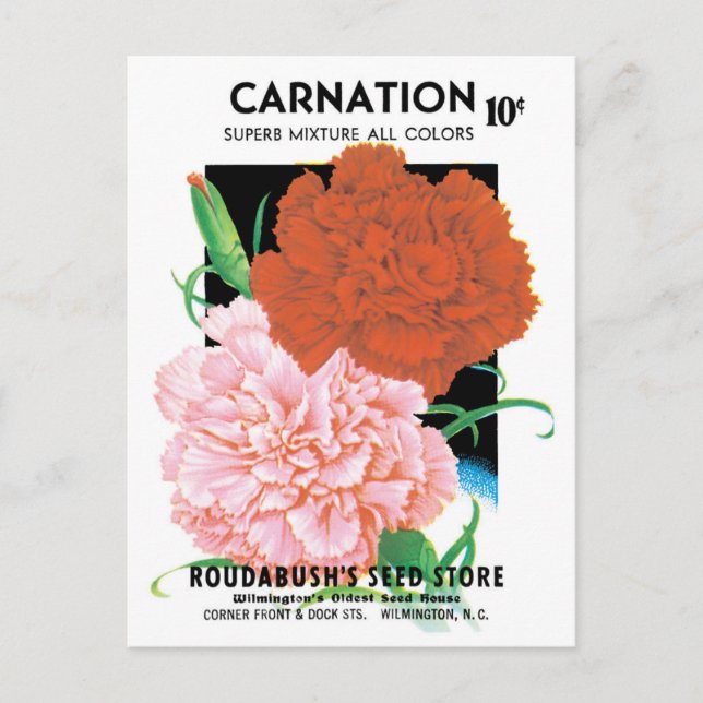 Vintage Seed Packet Label Art, Carnations Flowers Postcard (Front)
