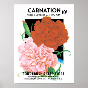 Vintage Seed Packet Label Art, Carnations Flowers Poster