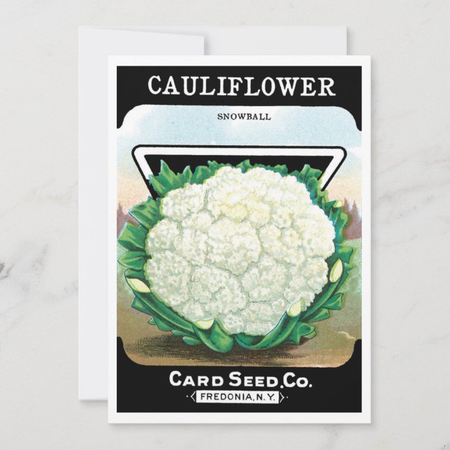 Vintage Seed Packet Label Art, Cauliflower Veggies (Front)