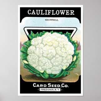 Vintage Seed Packet Label Art, Cauliflower Veggies Poster