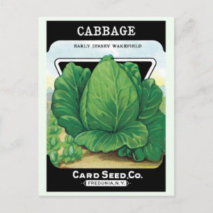 Vintage Seed Packet Label Art, Green Cabbage Postcard