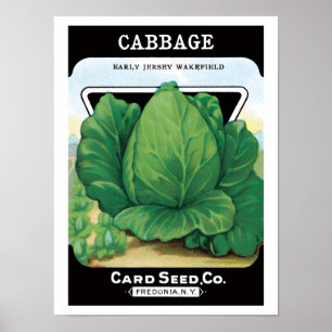 Vintage Seed Packet Label Art, Green Cabbage Poster