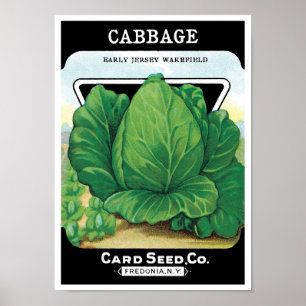 Vintage Seed Packet Label Art, Green Cabbage Poster