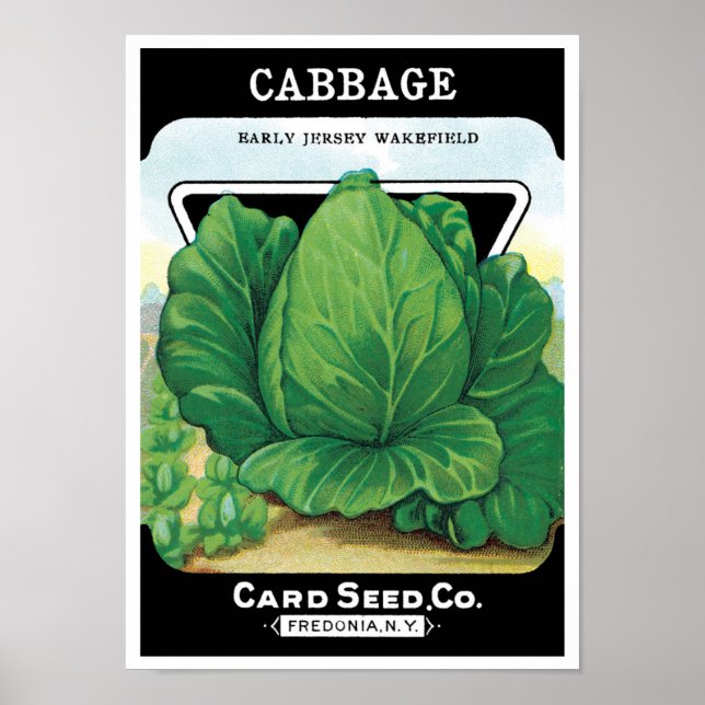 Vintage Seed Packet Label Art, Green Cabbage Poster (Front)