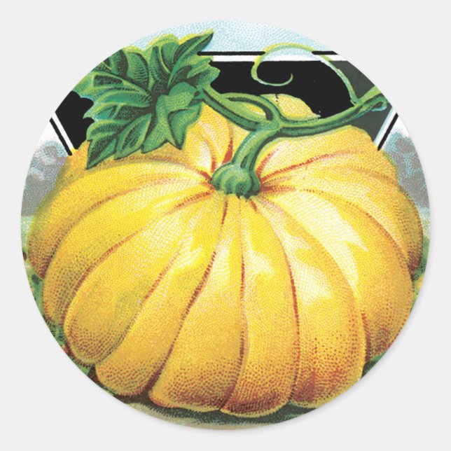 Vintage Seed Packet Label Art, Halloween Pumpkin (Front)