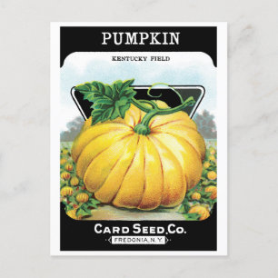 Vintage Seed Packet Label Art, Halloween Pumpkin Postcard