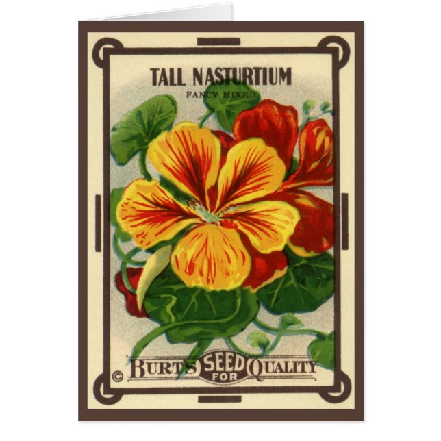 Vintage Seed Packet Label Art, Nasturtium Flowers (Front)