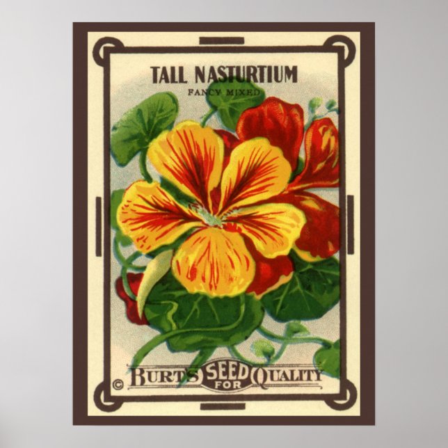 Vintage Seed Packet Label Art, Nasturtium Flowers Poster (Front)