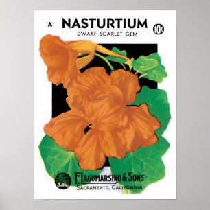 Vintage Seed Packet Label Art, Nasturtium Flowers Poster