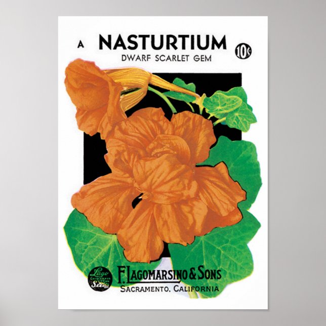 Vintage Seed Packet Label Art, Nasturtium Flowers Poster (Front)