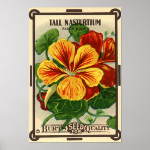 Vintage Seed Packet Label Art, Nasturtium Flowers Poster