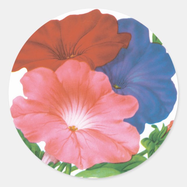 Vintage Seed Packet Label Art, Petunia Flowers (Front)