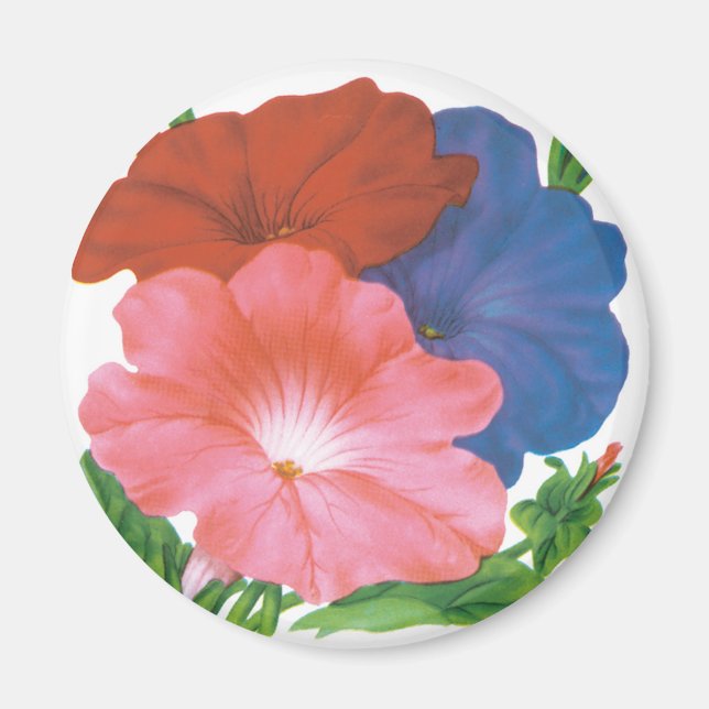 Vintage Seed Packet Label Art, Petunia Flowers Magnet (Front)
