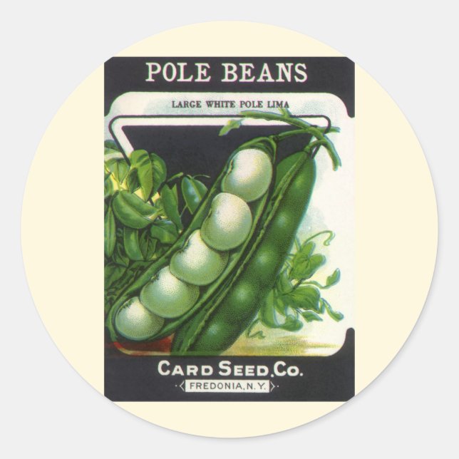 Vintage Seed Packet Label Art, Pole Lima Beans (Front)