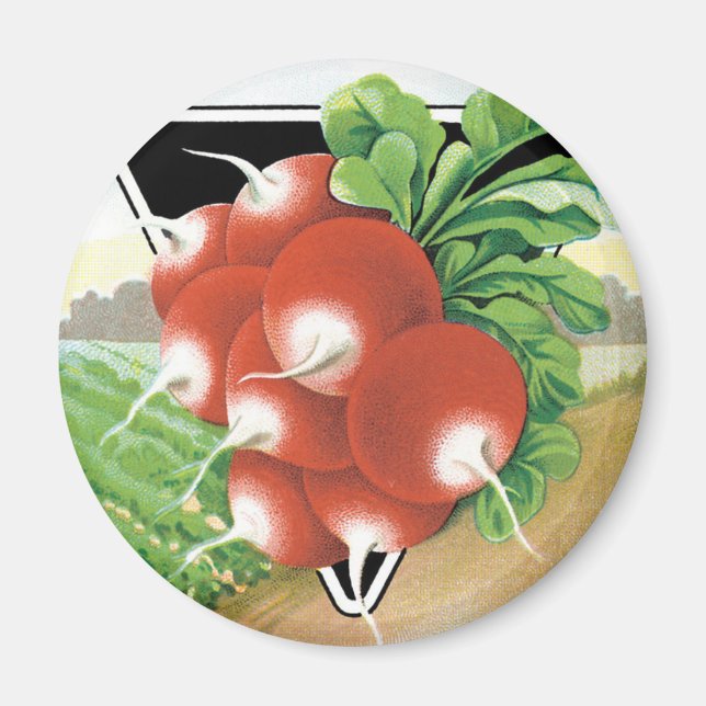 Vintage Seed Packet Label Art, Scarlet Radishes Magnet (Front)