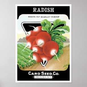 Vintage Seed Packet Label Art, Scarlet Radishes Poster