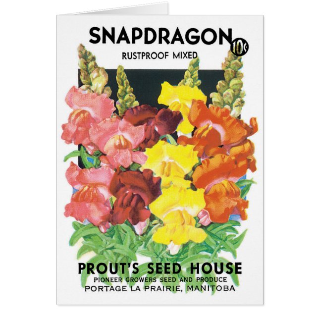 Vintage Seed Packet Label Art, Snapdragon Flowers (Front)