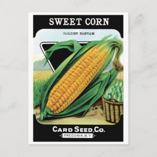 Vintage Seed Packet Label Art, Sweet Yellow Corn Postcard