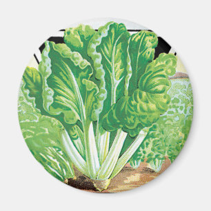 Vintage Seed Packet Label Art, Swiss Chard Veggies Magnet