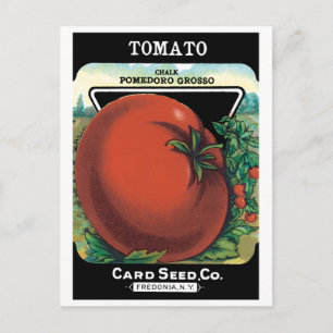 Vintage Seed Packet Label Art, Tomato Pomodoro Postcard