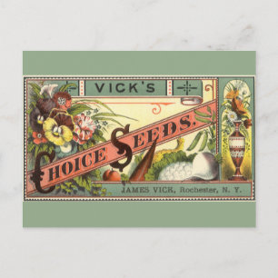 Vintage Seed Packet Label Art, Vick's Choice Seeds Postcard