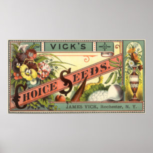 Vintage Seed Packet Label Art, Vick's Choice Seeds Poster