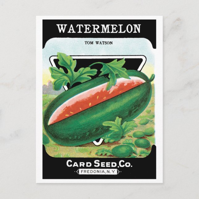 Vintage Seed Packet Label Art, Watermelons Fruit Postcard (Front)