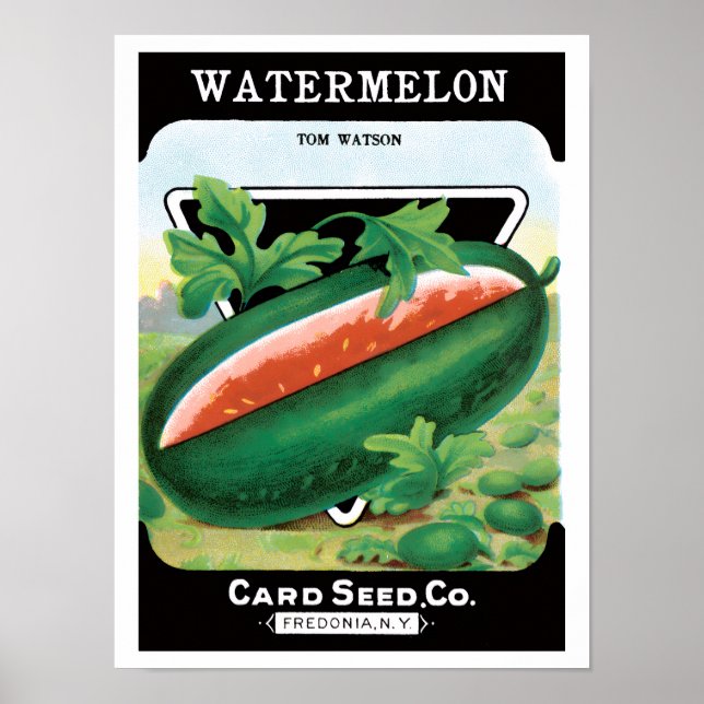 Vintage Seed Packet Label Art, Watermelons Fruit Poster (Front)
