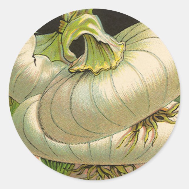 Vintage Seed Packet Label Art White Bermuda Onions (Front)