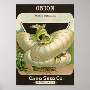 Vintage Seed Packet Label Art White Bermuda Onions Poster