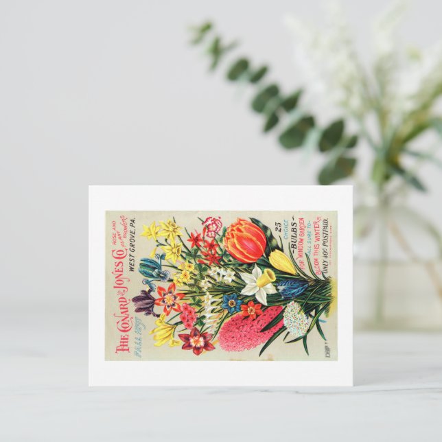 Vintage Seed Packet Postcard  (Standing Front)