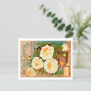 Vintage Seed Packet. Postcard