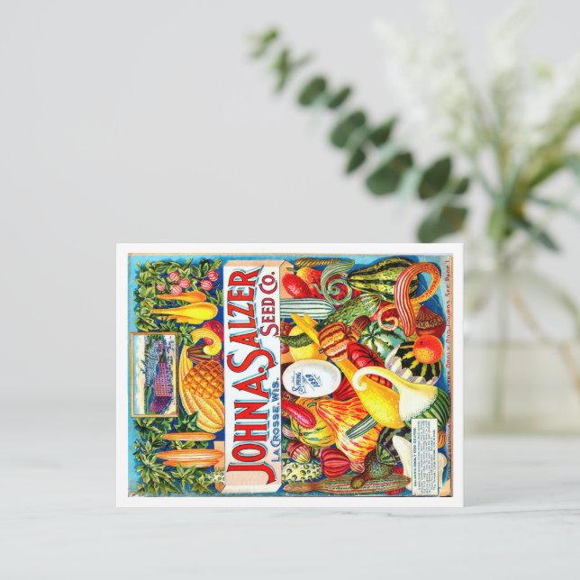 Vintage Seed Packet. Postcard (Standing Front)