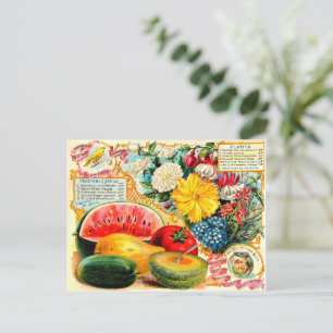 Vintage Seed packet. Postcard