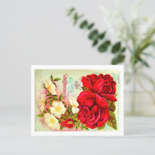 Vintage Seed Packet Postcards.  Postcard