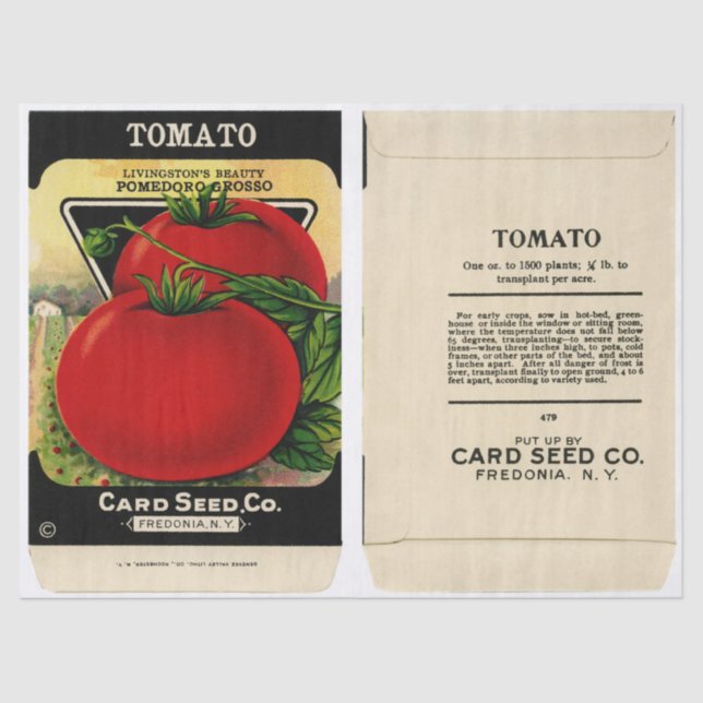 Vintage Seed Packet Tomato and Instructions Tissue Paper (Front)