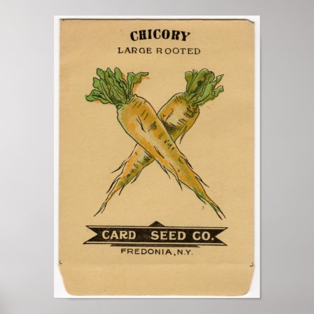Vintage Seed Packets Poster (Front)