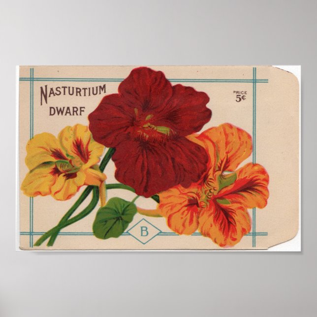 Vintage Seed Packets Poster (Front)