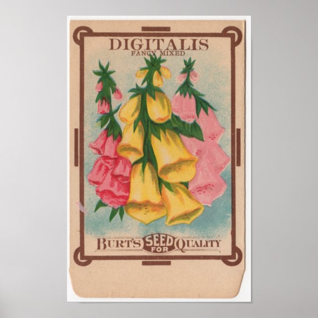 Vintage Seed Packets Poster (Front)