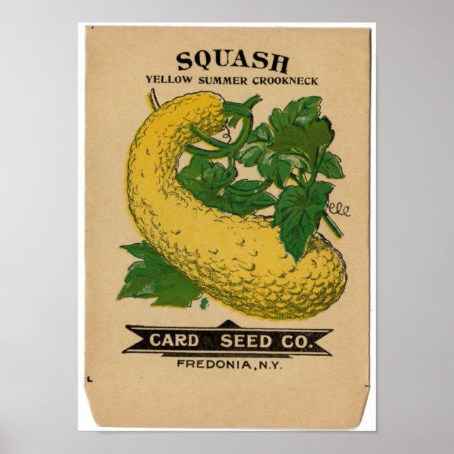 Vintage Seed Packets Poster (Front)