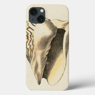 Vintage Sepia Conch Shell iPhone 13 Case